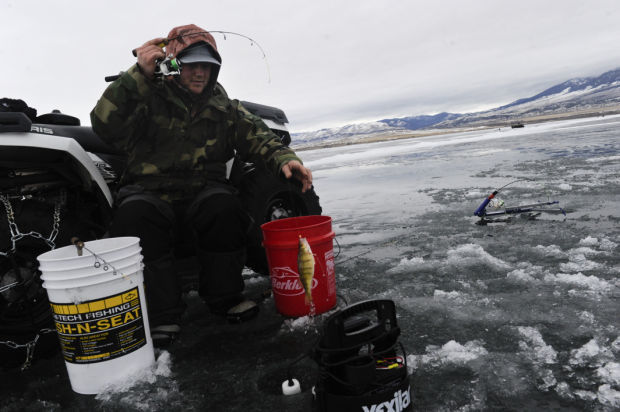 Perch Derby on Canyon Ferry